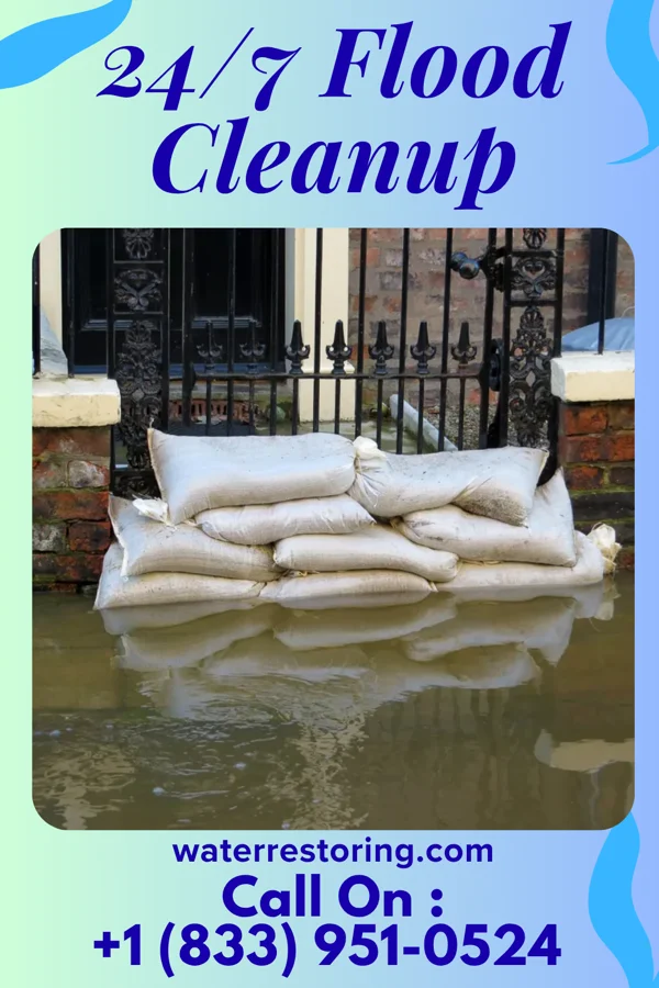 24/7 Flood Cleanup in Jumpertown, MS