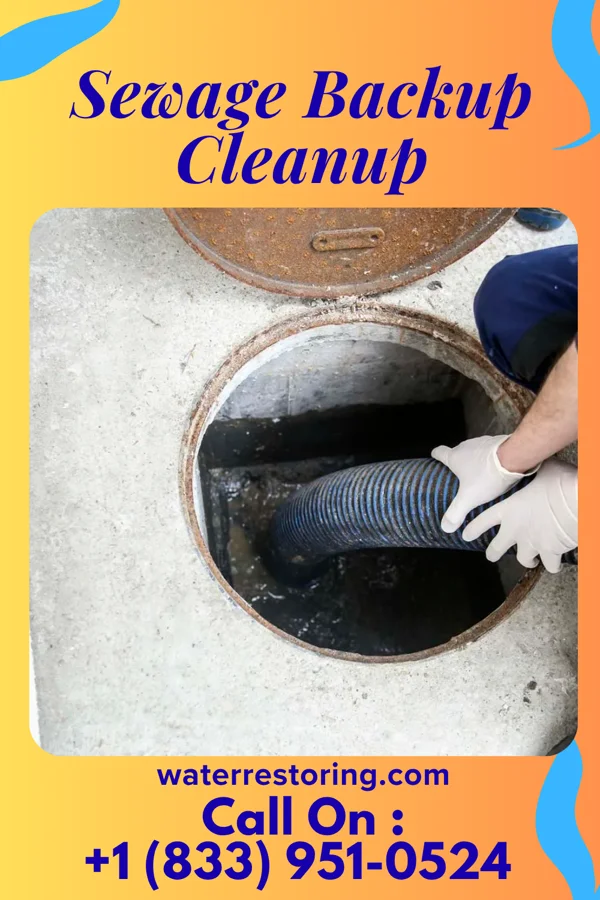 Sewage Backup Cleanup in Jumpertown, MS