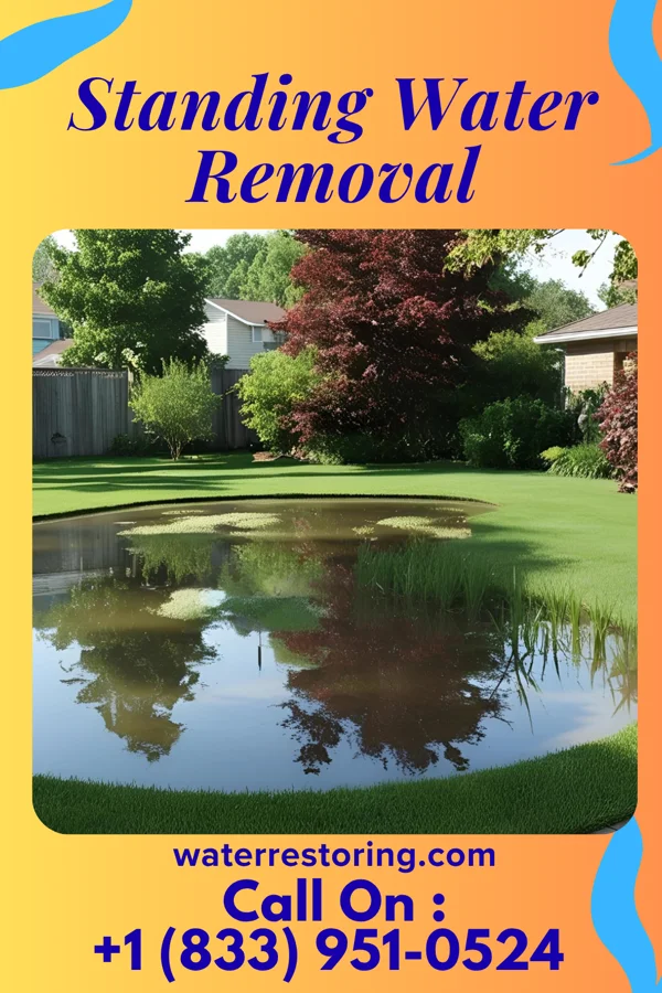 Standing Water Removal in Jumpertown, MS